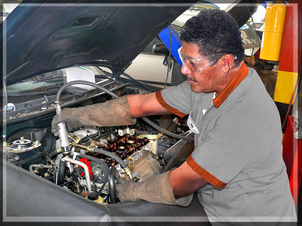 Profesionales Experimentados